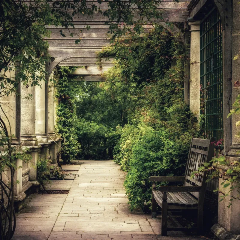 Alfresco Deck Cafe